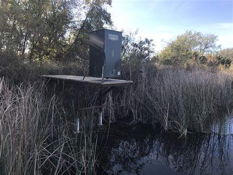 Lochow Ranch On Twitter Fish Feeding Is Key For A Thriving Fishery