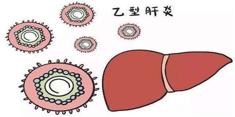 乙肝的传播途径有哪些 360新知