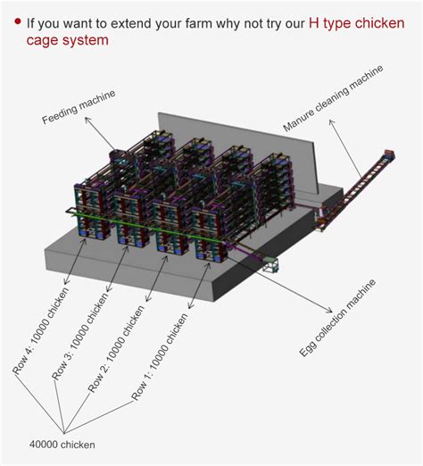 Buy Wholesale China High Quality Steel Structure Automatic Poultry Farm ...