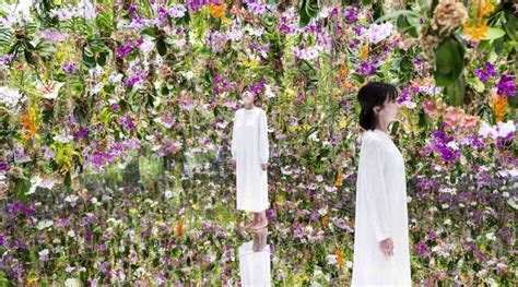 A Floating Flower Garden in Tokyo Immerses Visitors With Orchids That Move as You Approach (WATCH)