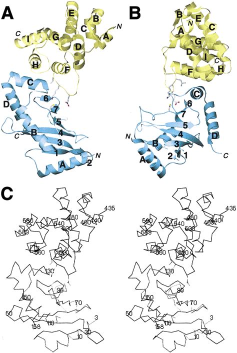 Structural Basis For E2 Mediated Sumo Conjugation Revealed By A Complex