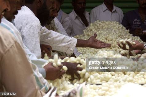 Sericulture Photos And Premium High Res Pictures Getty Images