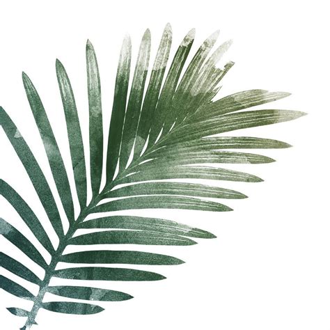 Palm Leaf Art Print By Georgie St Clair Notonthehighstreet Palm