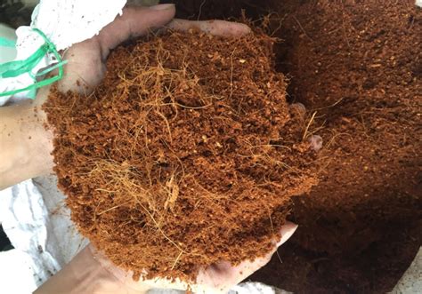 coconut coir mulch - Thanh Cong Handicraft Export Co.,Ltd