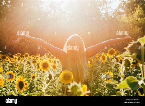 Beauty Sunlit Woman On Yellow Sunflower Field Freedom And Happiness