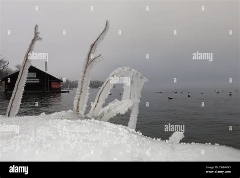 Tutzing Bayern Deutschland Januar Ein Wintertag In Tutzing