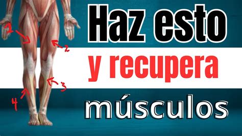 Recupera Fuerza Y Masa Muscular En Las Piernas Con Esta Rutina De