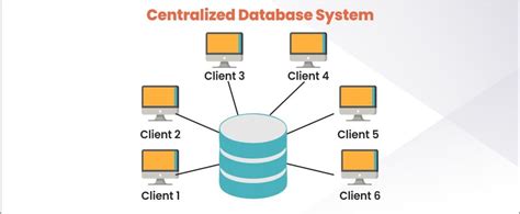 What Are The Various Types Of Databases