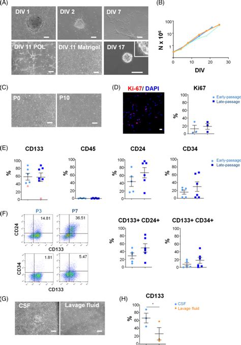 Retrieval Of Germinal Zone Neural Stem Cells From The Cerebrospinal