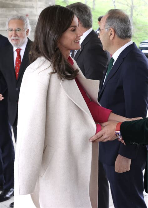 Queen Letizia Looks Terrific In Taffeta Dress To Mark World Rare