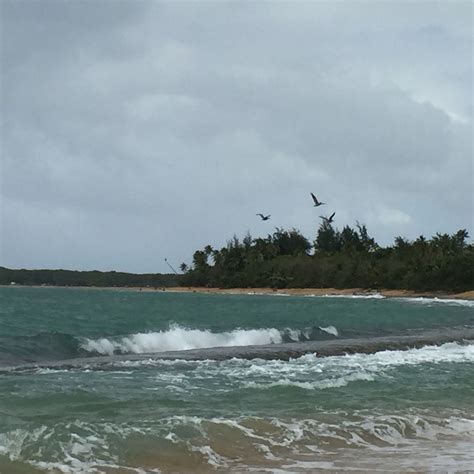 Playa Aviones, Loiza | Natural landmarks, Nature, Landmarks