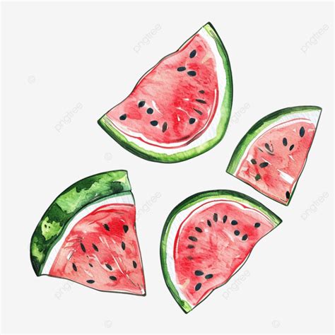 Tropical Watermelon Slice Pattern Nature Texture Textile Png