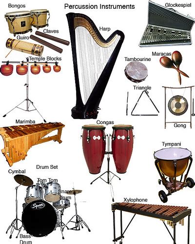 Free Music Instruments Names, Download Free Music Instruments Names png ...