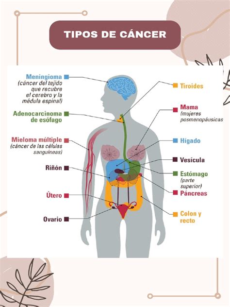 Quais Os Tipos De Câncer - Tipos de Cáncer | PDF