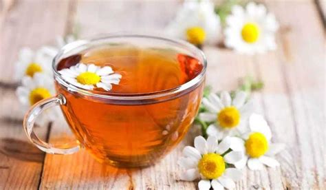 Benefits Of Chamomile Tea Life Health