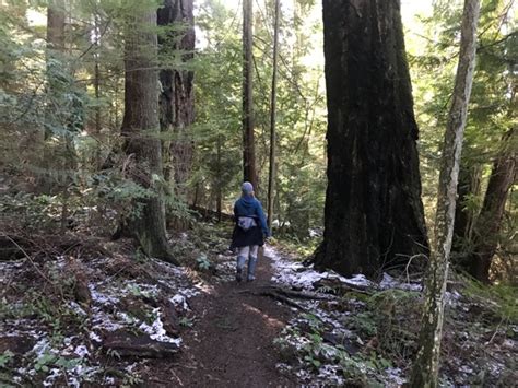 Whistle Lake Hike in Anacortes