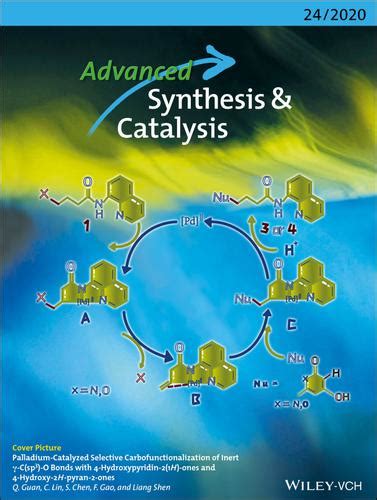 Palladiumcatalyzed Selective Carbofunctionalization Of Inert C Sp