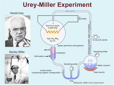 Experimento De Miller