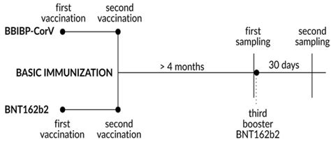 Diagnostics Free Full Text Evaluation Of The Efficacy Of Bbibp Corv