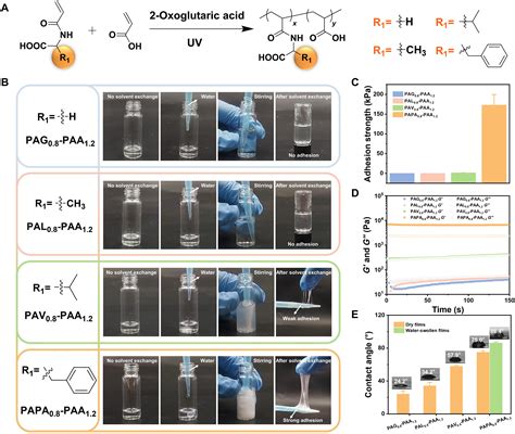 Molecular Architecture Regulation For The Design Of Instant And Robust