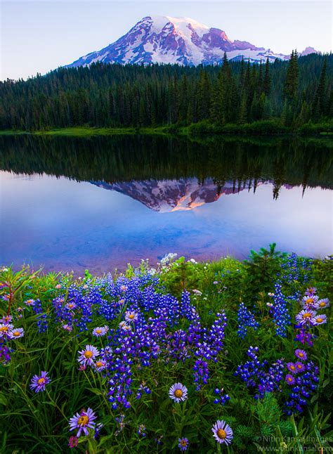 PHANTASTROPHE — Mount Rainier, Washington | Photographer: Nitin...