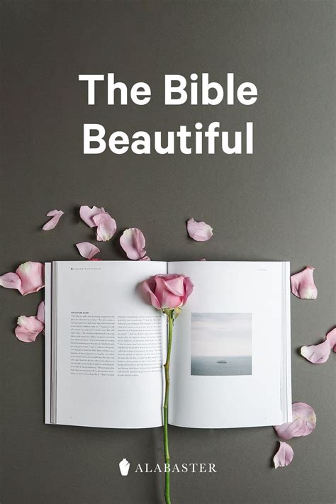 The most beautiful Bible. | Bible, Beautiful bible, Birthday gifts for ...