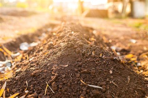 Textured Fertile Soil For Cultivation As Background The Potting Soil