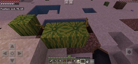 My first melon farm : r/Minecraft