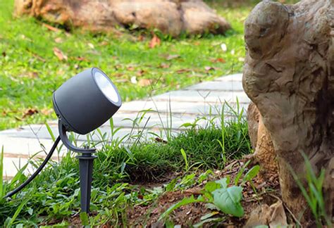 Spotlighting Your Landscape: LED Landscape Spotlights – Upward Lighting ...