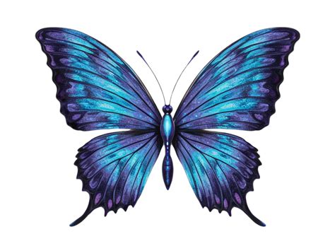 blue butterfly clipart on Isolated Transparent Background 48028415 PNG