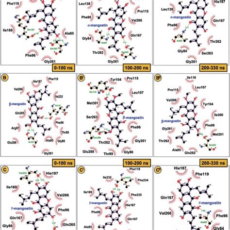 D Schematic Representation Of Intermolecular Hydrogen Bond