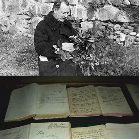 Биография Н.И. Вавилова — История изобретений