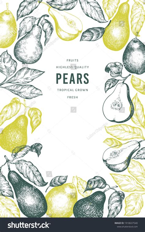 Pear Design Template Hand Drawn Vector Stock Vector (Royalty Free ...