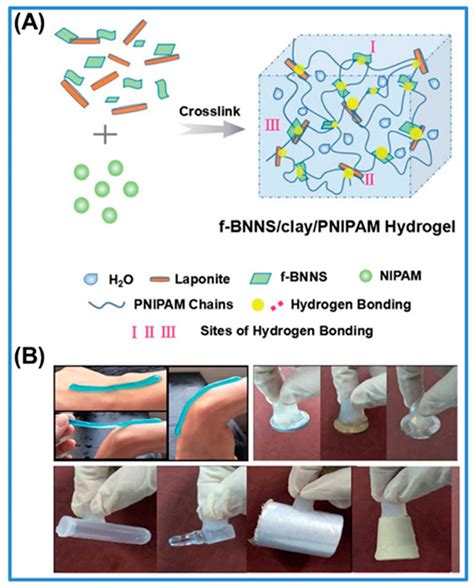 Polymers Free Full Text Poly N Isopropylacrylamide Based