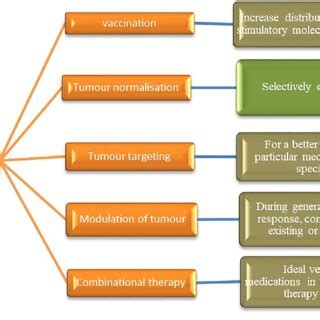 Different drug delivery systems based on liposomes. | Download Scientific Diagram