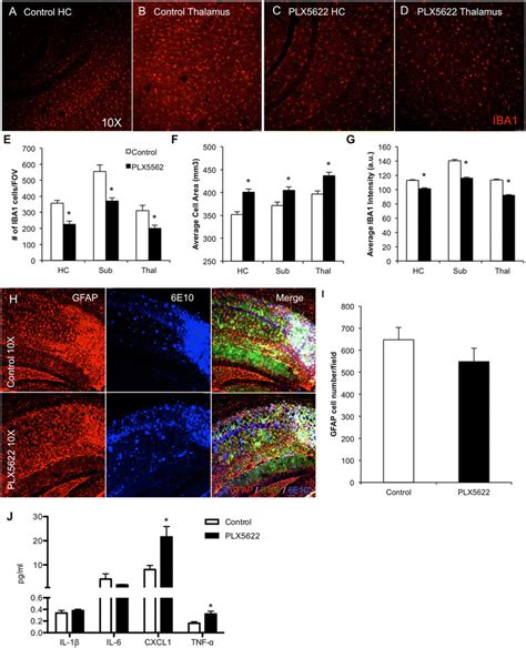 Lower Dose CSF1R Inhibition Partially Reduces Microglia Numbers The