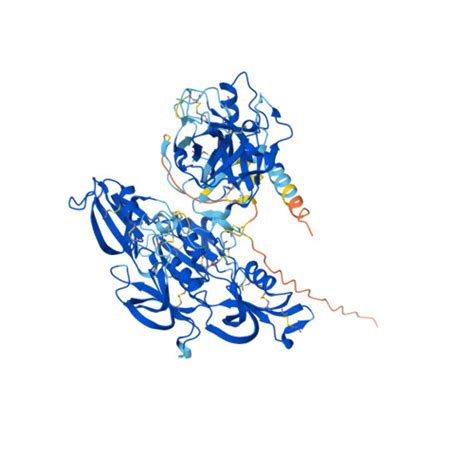 Rcsb Pdb Af Afp F Computed Structure Model Of Plasma Kallikrein