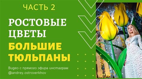 Гигантский Тюльпан Ростовые Цветы большой тюльпан мастер класс, часть 2 ...
