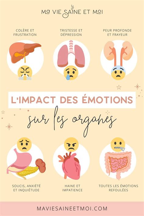 L Impact Des Motions Sur La Sant Des Organes Hygiene De Vie