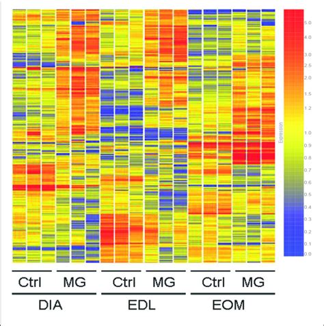 Hierarchical Cluster Analysis Using Gene Probes Identified As