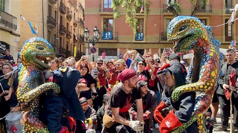 Naixement i presentació dels dos DRACS petits dEn GAUDIANUS Festa