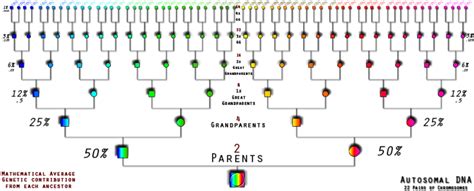 Relationship Charts