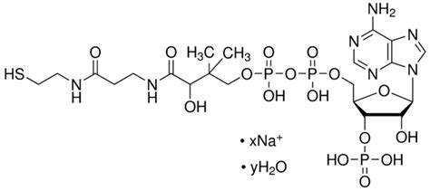 Coenzyme A Sodium Salt Hydrate C4780 10MG SIGMA ALDRICH SLS Ireland