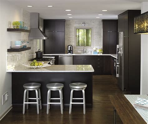 Dark Wood Cabinets in Contemporary Kitchen - Kemper