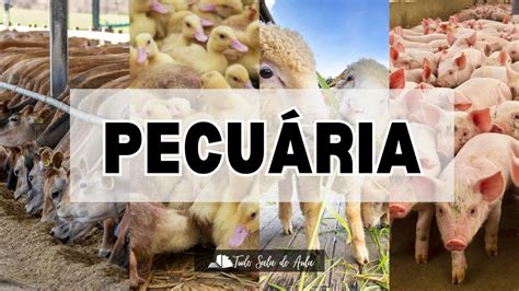 Quais São Os Tipos De Criação Desenvolvidos Pela Atividade Pecuária - Atividade sobre a Pecuária para o 3º ano fundamental - Tudo Sala de Aula