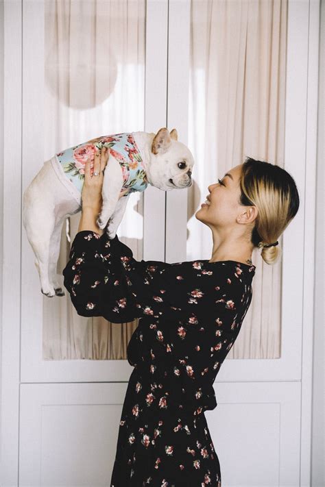 Owning an adult french bulldog is different than you expect 2