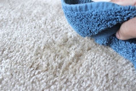 how to clean carpet vinegar