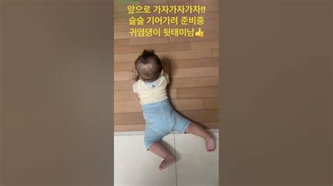 기어가려 준비중 ️ 힘내라 힘👏👏6개월아기 기어가기 점점 성장기록 힘내자 뒷태미남 귀여움 호랑이띠아기 Youtube