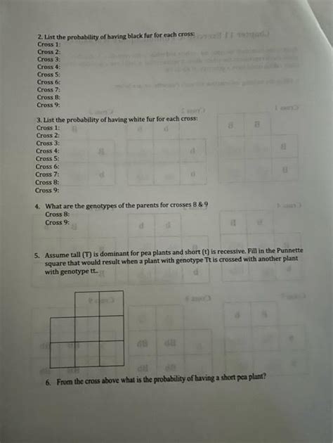 Solved Chapter 11 Exercise A: Punnett Square Worksheet Black | Chegg.com