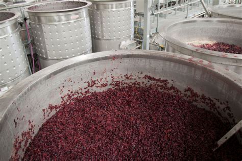 The Role Of Wine Fermentation In Quality Winemaking Own A Napa